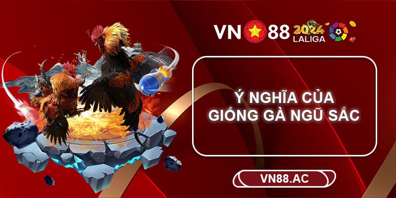 Ngoài việc dùng để thi đấu, gà ngũ sắc còn được dùng để làm cảnh,...