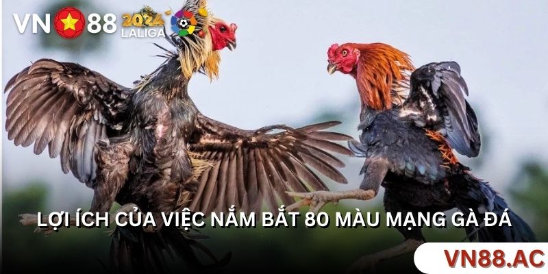 80 màu mạng gà là kiến thức quan trọng giúp anh em gia tăng chiến thắng