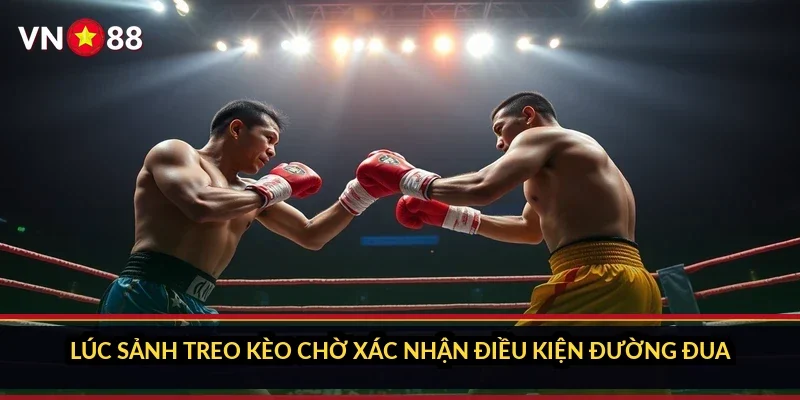 Cá cược đua xe MotoGP VN88: bên trong sảnh đua mô tô 4 Lúc sảnh treo kèo chờ xác nhận điều kiện đường đua